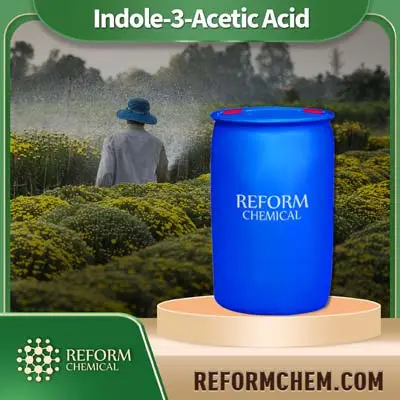 Indole-3-Acetic Acid