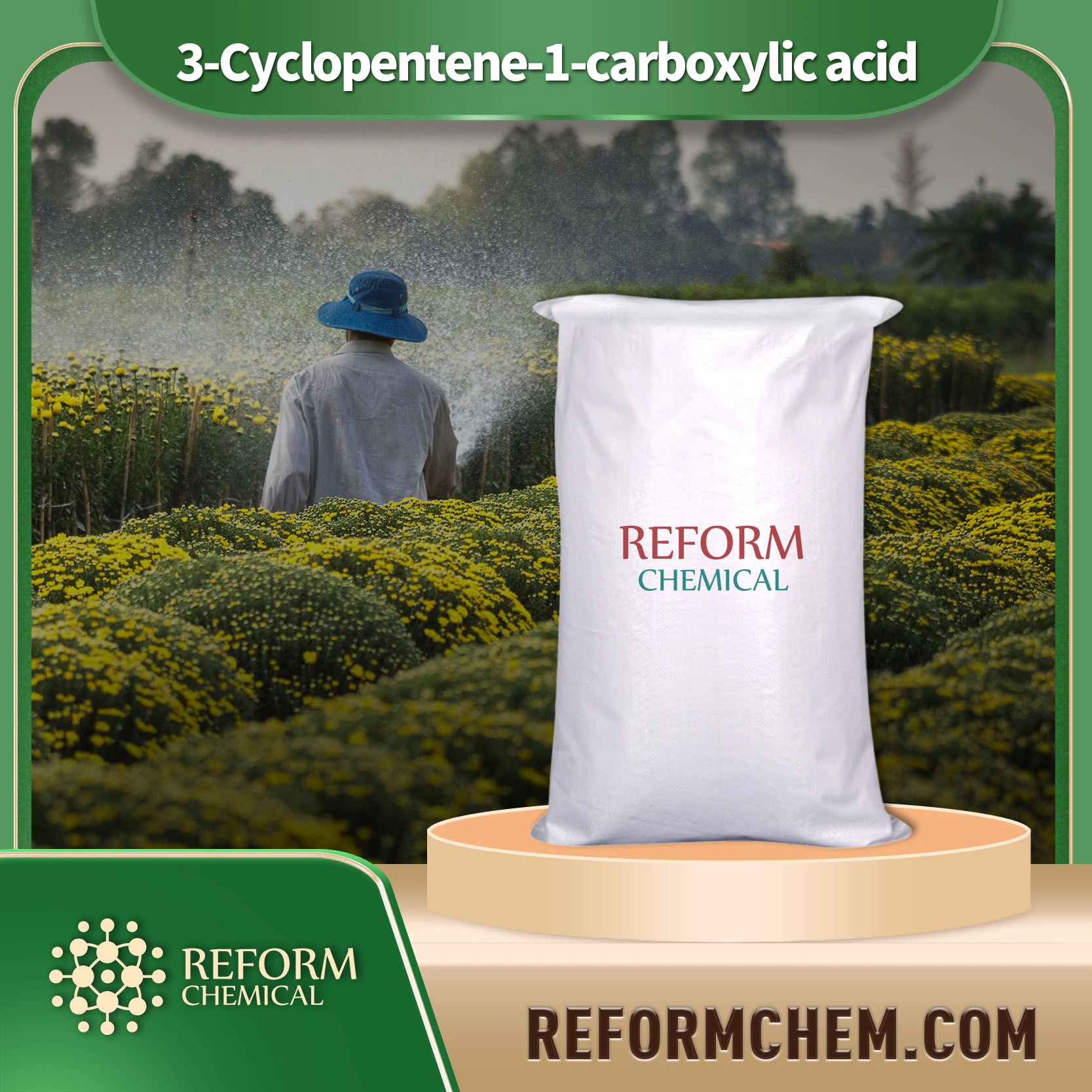 3 cyclopentene 1 carboxylic acid 7686 77 3