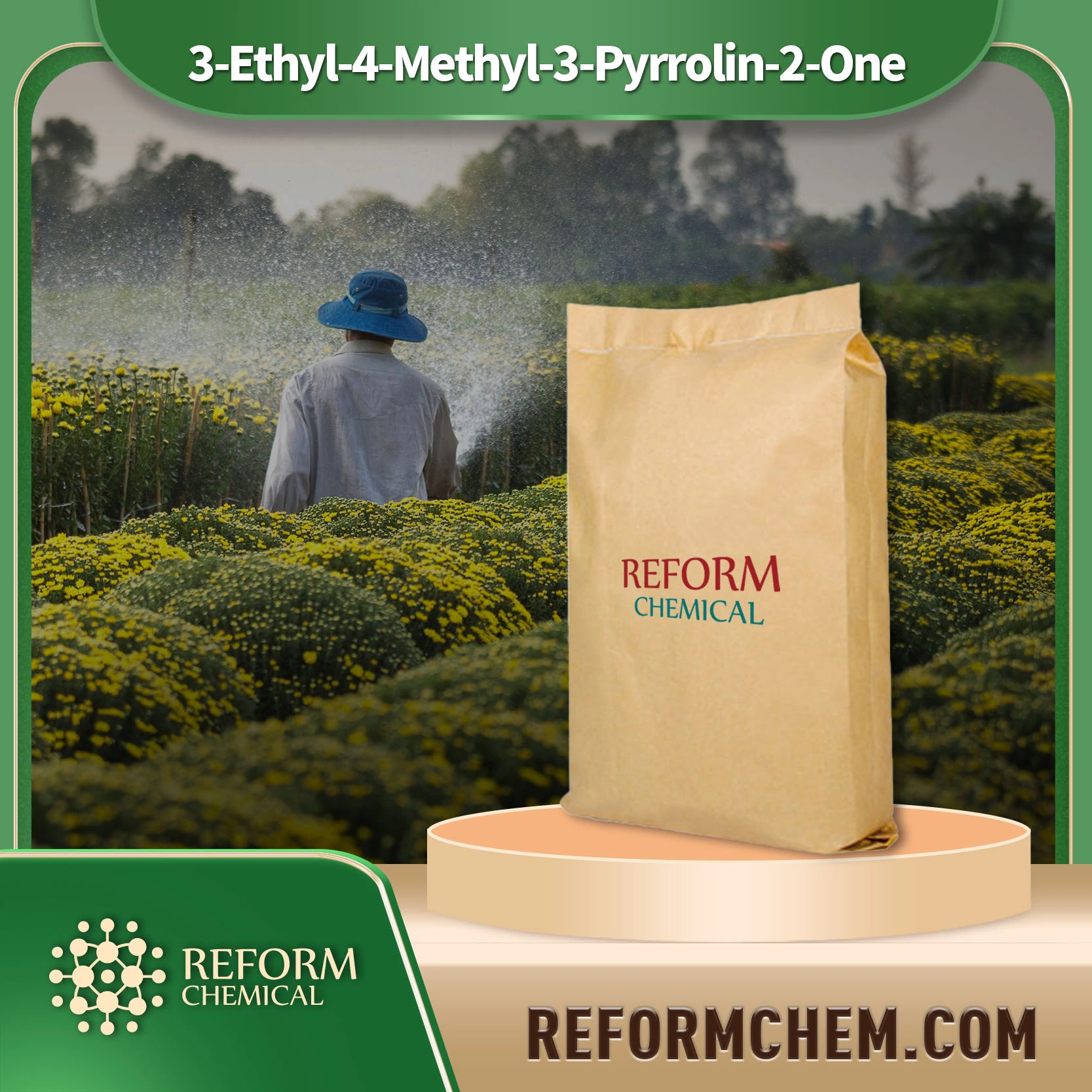 3-Ethyl-4-Methyl-3-Pyrrolin-2-One