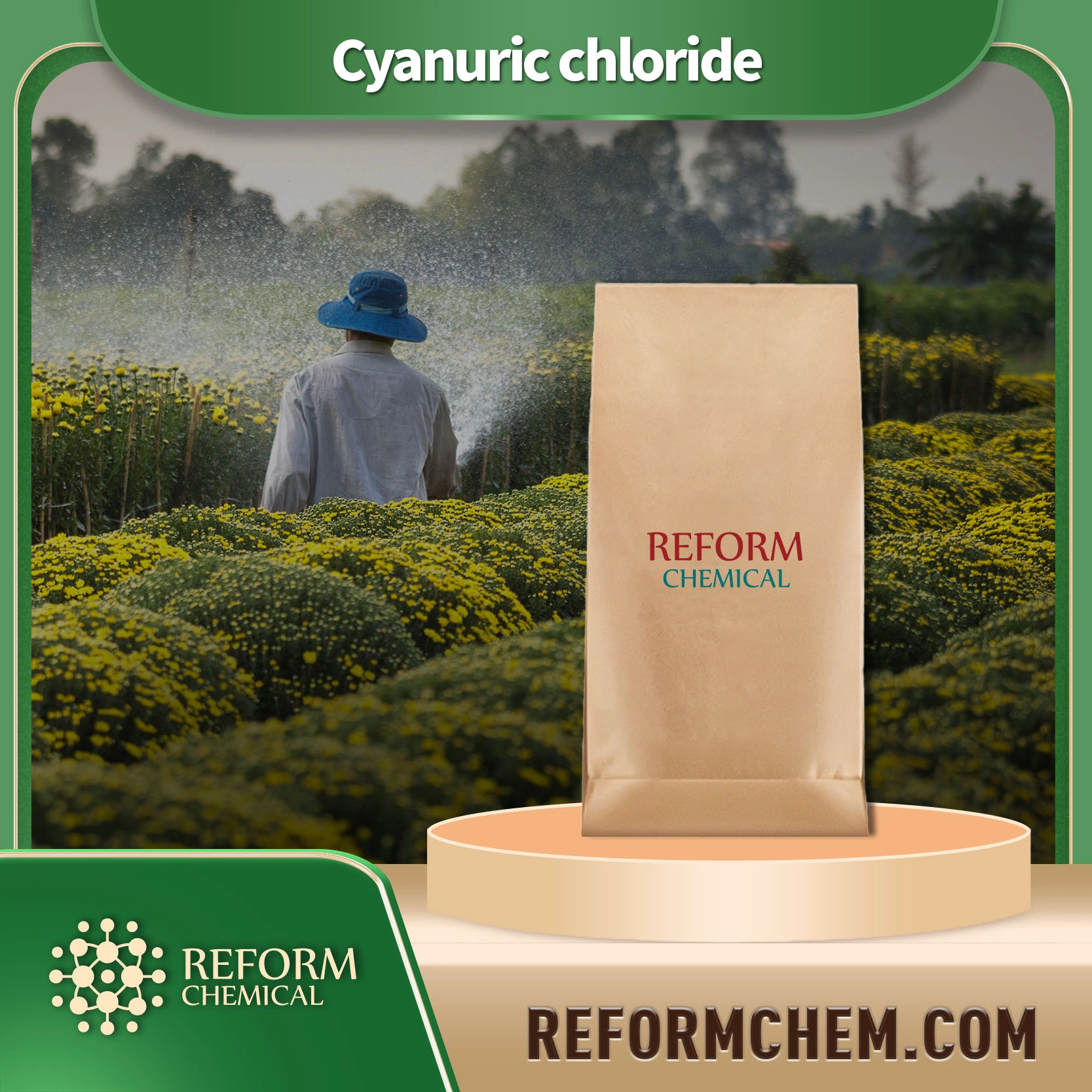 cyanuric chloride108 77 0