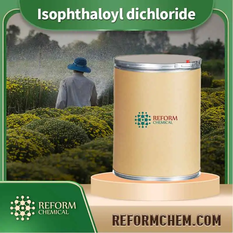 isophthaloyl dichloride 99 63 8