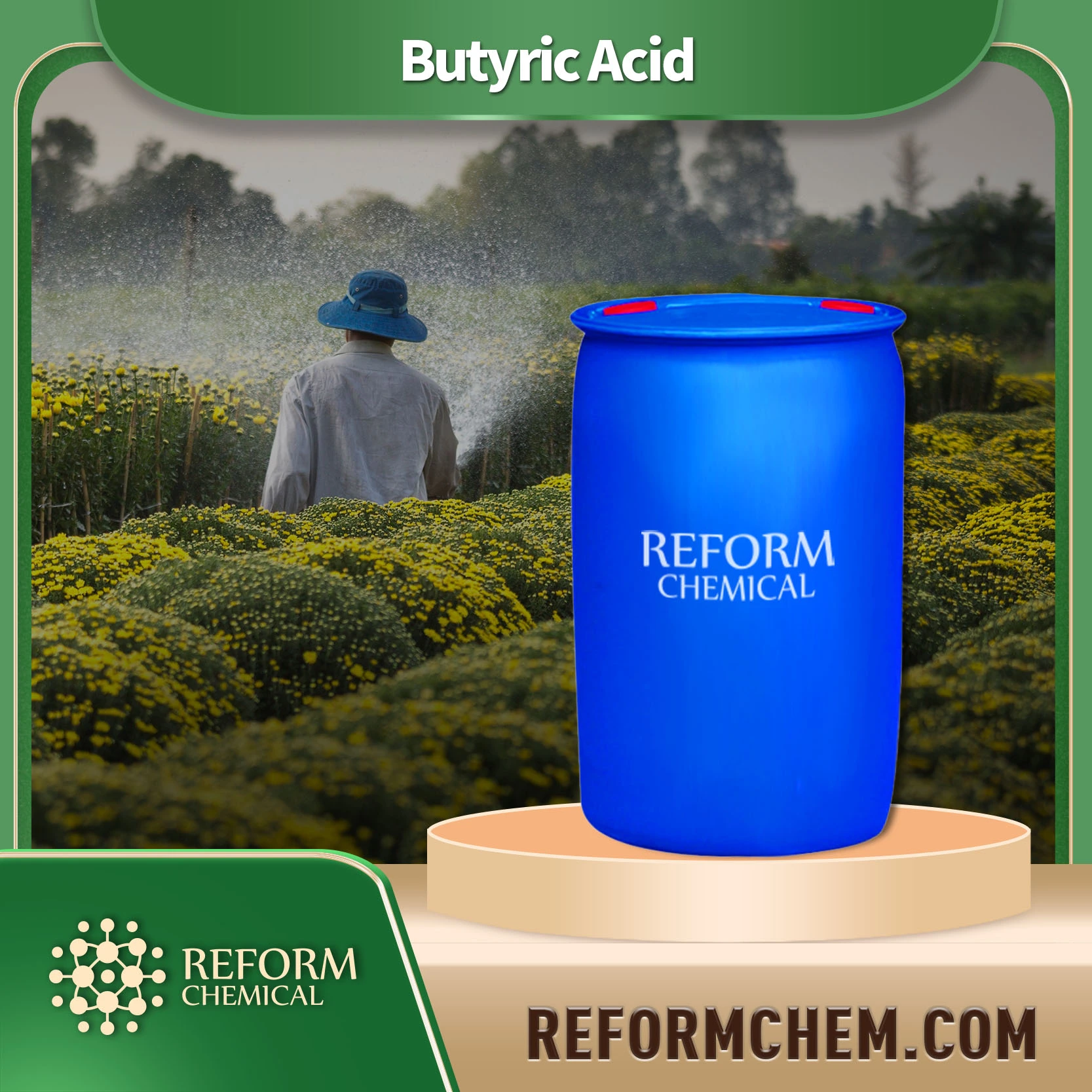 Butyric Acid